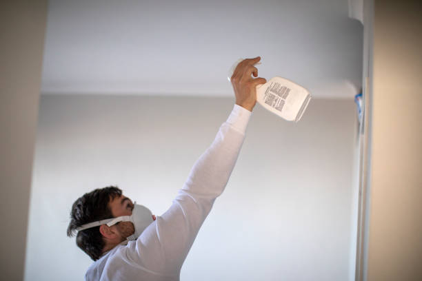 Best Fast Mold Removal  in Untain Grove, MO