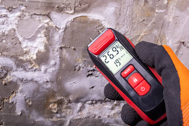 Best Commercial Mold Removal  in Untain Grove, MO