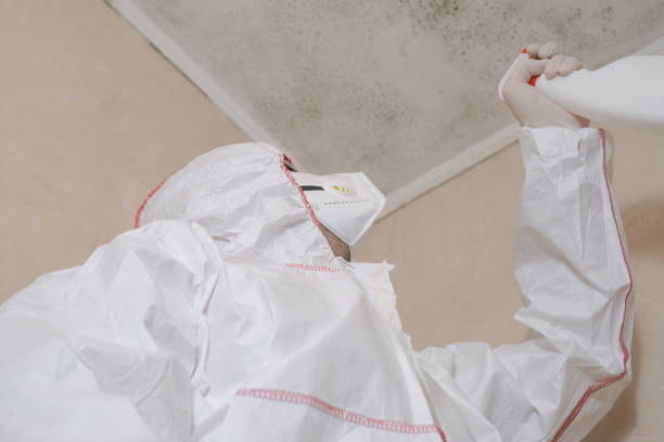 Best Emergency Mold Removal  in Untain Grove, MO