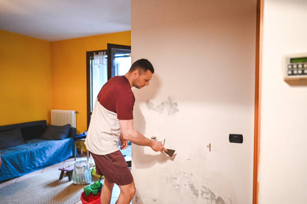 Best Water Damage Restoration  in Untain Grove, MO